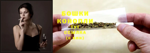 ПСИЛОЦИБИНОВЫЕ ГРИБЫ Тутаев