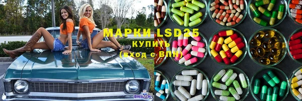индика Усинск