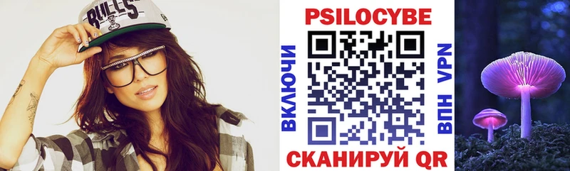 blacksprut зеркало  даркнет сайт  Дыгулыбгей  Псилоцибиновые грибы Psilocybe 